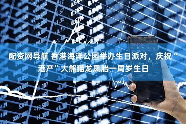 配资网导航 香港海洋公园举办生日派对，庆祝“港产”大熊猫龙凤胎一周岁生日